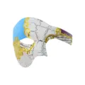 Halbgesicht Maskerade Maske Phantom Stil mit rissigem weissen Finish und goldenen Ranken. - Rissige Musiknoten Halbgesicht - Blau Lila