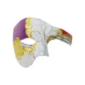 Elegante Maskenball Halbmaske in Weiß mit Rissen, goldenen Ornamenten und Notenmustern. - Rissige Musiknoten Halbgesicht - Lila Rot