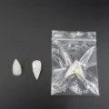 Halloween vampier tanden witte plastic accessoires voor feest cosplay set artikel. - Vampiertanden OPP Zakje / 1.7cm / Wit
