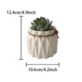 Gros plan de la plante succulente artificielle dans un pot en céramique blanche et dimensions. - Ensemble de fleurs artificielles en pot - Grand