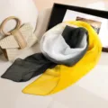 Vue détaillée du foulard plissé avec une texture fine et une transition de couleur élégante. - Style 5