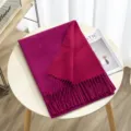 Detailed view of a cozy two-tone reversible imitation cashmere scarf featuring elegant tassels. - Color 13
