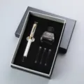 Luxe vulpen geschenkset met inktfles en patronen, stijlvolle zilveren afwerking. - Stijl 12 Set