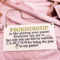 Lustiges Holzschild mit humorvollem Spruch, originelles Geschenk für gute Freunde. - LT02701