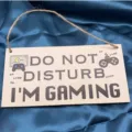 Hölzernes Gaming Türschild Nicht Stören lustige Zimmerdeko Hängeschild für Gamer. - LT02704