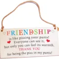 Lustiges Holzschild Freundschaft hängend Deko Schild Geschenk mit Juteschnur für Zuhause. - LT02702
