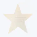 Unfinished wooden star blank with punched holes for DIY crafts and holiday wall hanging decor. - Pentagram / Diameter 30cm