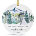 Personalized wedding Christmas ornament round wooden hanging tree decoration for newlyweds 2025. - LT389-18