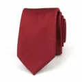 Classic burgundy men's twill tie detail, professional business formal wear accessory. - Burgundy