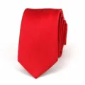 Red men necktie detail close up classic business design professional work wedding silk tie. - Red