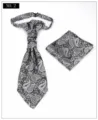 Men jacquard paisley ascot tie and pocket square set for formal wedding suit wear - No.2