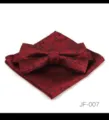 Ensemble noeud papignon et pochette cachemire bordeaux homme mariage vue de détail. - JF-007