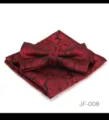 Vue detaillee de l'ensemble noeud papillon et pochette paisley rouge et noir, classique. - JF-008