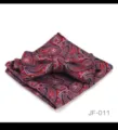 Ensemble noeud papillon et pochette paisley rouge bleu pour costume de mariage. - JF-011