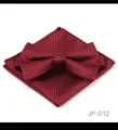Gros plan détaillé du nœud papillon et de la pochette à carreaux rouges et noirs pour hommes. - JF-012
