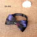 Detail view of the elegant men velvet bow tie featuring a stylish feather print design. - Feather Print Style (SR-002)