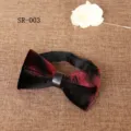 Detailed view of men's velvet bow tie with feather print and brooch, luxury wedding accessory. - Black Red Gradient Feather Print Style (SR-003)