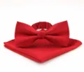 Red solid stripe bow tie and pocket square set for men wedding formal wear accessories. - Red