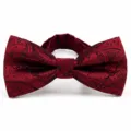 Classic burgundy paisley bow tie for men, elegant wedding and formal business party suit accessory. - Big Paisley Burgundy (DZ-003)