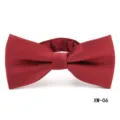 Red striped bow tie detail closeup, classic men's formal suit accessory for business. - Red