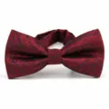 Men's silk bow tie with classic paisley pattern, elegant burgundy and navy blue design. - Big Paisley Navy with Burgundy (DZ-004)