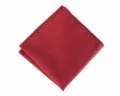 Bordeaux fijn gestreepte pochette detail, klassieke zakdoek voor pak accessoire. - Pochet · Jujube rood