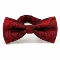 Wine red paisley bow tie for men wedding formal business party accessories suit wear - Small Paisley Burgundy (DZ-008)