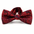 Detailed view of classic paisley bow tie for men, elegant wedding and formal wear. - Small Paisley Navy with Burgundy (DZ-009)