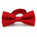 Detail view of red men's bow tie with elegant paisley pattern, formal wear accessory for weddings. - Hook Flower Burgundy (DZ-012)