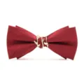 Detail shot of men's red striped bow tie featuring a golden branch metal buckle. - Burgundy