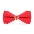 Men red striped bow tie with gold leaf metal buckle for wedding party formal wear accessory. - Red