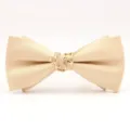 Nœud papillon homme mariage tissu rayé champagne avec boucle métal feuille dorée - Champagne