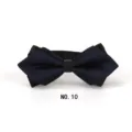 Herren spitz gestreifter Fliege stilvolle Hochzeit Bräutigam formelle Halsbekleidung - No.10