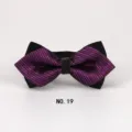 Detailaufnahme einer stilvollen lila gestreiften Spitzfliege für Herren, elegantes Hochzeitsaccessoire. - No.19