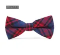 Nœud papillon écossais rouge et bleu classique pour homme, nœud stylé pour tenue formelle. - MG-111