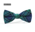 Détail de nœud papillon en coton écossais vert et bleu pour homme, style britannique chic. - MG-113