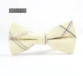 Élégant nœud papillon homme coton carreaux style britannique cravate vue rapprochée - MG-119
