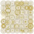 Detailansicht von Goldfolie Sonne Mond Sterne PET Aufkleber Set, exquisite mystische Kunst. - 50 Stück/Packung