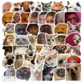 50pcs funny meme stickers pack, waterproof cute cat dog decals for laptop water bottle DIY decor. - 50 Sheets
