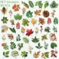 PET transparente botanische Aufkleber, 50 Stueck Set, dekorative wasserdichte Pflanzen Blaetter. - 50 Pflanzen- & Botanik-Sticker