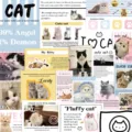 Cute cat sticker set waterproof DIY journal phone case decoration 30pcs colourful - Cat