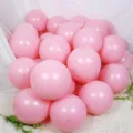 Macaron pink latex balloons set for girls birthday party kids first birthday venue decor - 10 Inch 100 Pieces/Pack / Macaron Pink