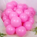 Pink macaron latex balloons set for girls birthday party and holiday celebration decor set - 10 Inch 100 Pieces/Pack / Matte Dark Pink