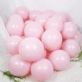 Macaron pink balloons set for girls birthday party decoration children anniversary celebration - 10 Inch 100 Pieces/Pack / Matte Light Pink