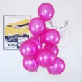 Magenta round pearlescent balloon variant for kids birthday party and holiday event decor. - 100 Pieces/Pack / Dark Rose Red