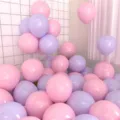 Macaron pastel latex balloons pink and purple color for party birthday celebration decor - 100 Pieces / Macaron Pink Macaron Purple