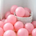 Pink macaron balloon set, pastel pink latex balloons for birthday party decoration. - 100 Pieces/Pack / Macaron Pink
