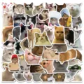 Süße lustige Katzen Meme wasserdichte Aufkleber Set für Laptop Koffer Skateboard - 50 Stück Herz-Geste Kätzchen