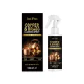 JUE FISH spray nettoyant pour cuivre et laiton 120ml, antirouille et polissage metal. - 120ML