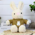 Detailed close-up of a cute dressed rabbit plush toy wearing a brown knitted sweater. - Khaki Rabbit Mustard Yellow / 30cm
